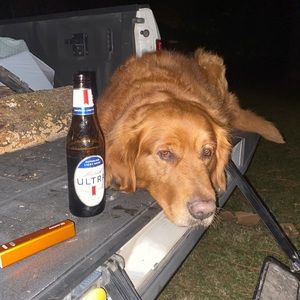 Meet your Posher, William